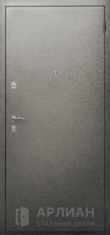 Фото «Дверь с отделкой порошковым напылением серого цвета №28»